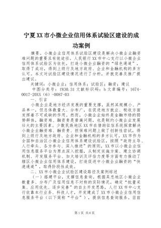 宁夏市小微企业信用体系试验区建设的成功案例