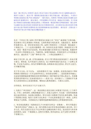 初学者应该用什么样的口琴进行学习