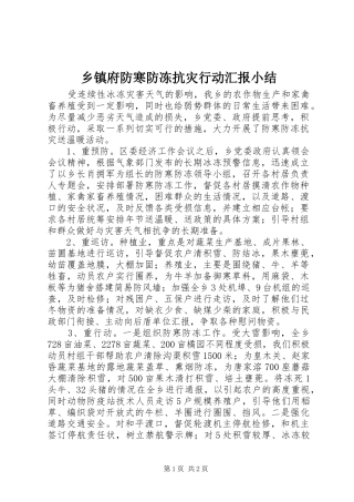 乡镇府防寒防冻抗灾行动汇报小结
