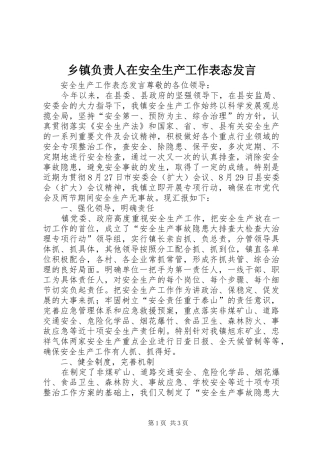 乡镇负责人在安全生产工作表态讲话