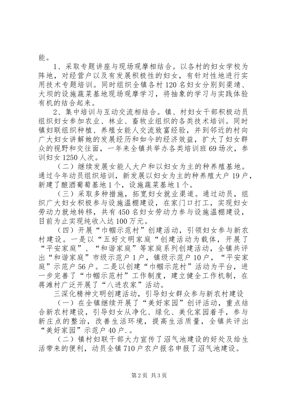 乡镇妇联个人年终工作总结_第2页