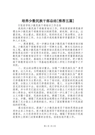 培养少数民族干部总结推荐五篇