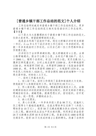 普通乡镇干部工作总结的范文个人介绍