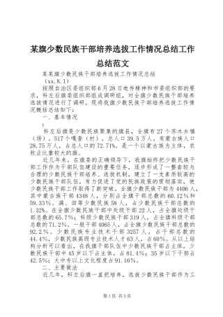 旗少数民族干部培养选拔工作情况总结工作总结范文