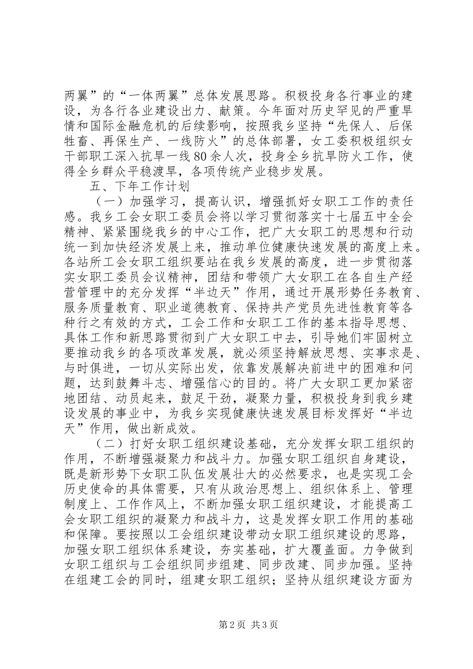 乡镇工会女职工委员会工作总结_第2页