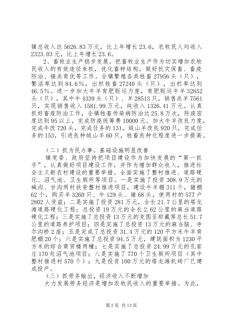 乡镇工作总结及工作重点_第2页