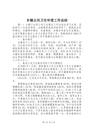 乡镇公共卫生年度工作总结