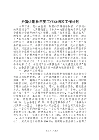 乡镇供销社年度工作总结和工作计划