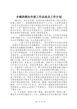 乡镇供销社年度工作总结及工作计划