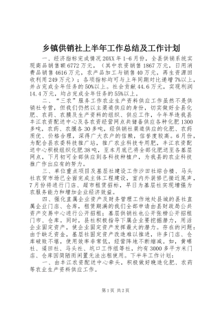 乡镇供销社上半年工作总结及工作计划