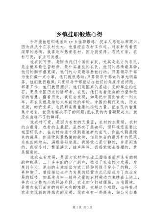 乡镇挂职锻炼心得