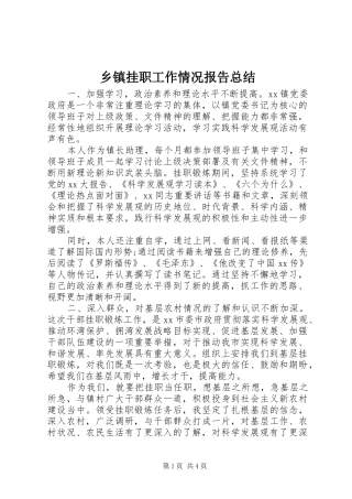 乡镇挂职工作情况报告总结