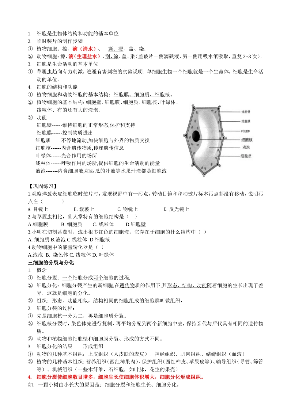 初一简化提纲_第2页
