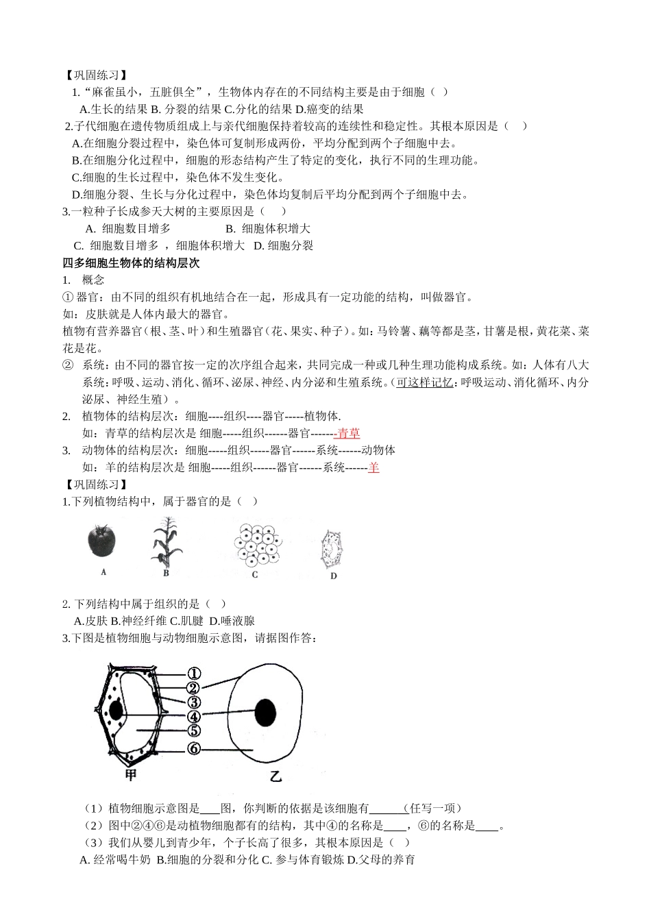 初一简化提纲_第3页