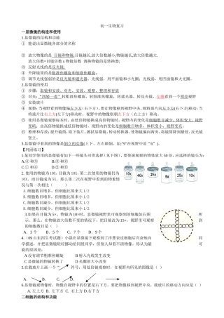 初一简化提纲