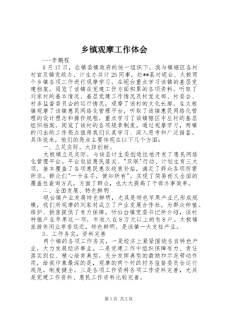 乡镇观摩工作体会