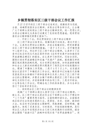 乡镇贯彻落实区三级干部会议工作汇报