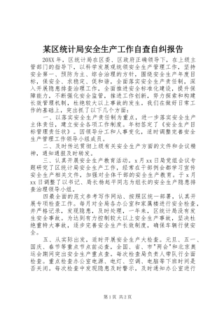 区统计局安全生产工作自查自纠报告