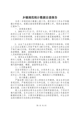 乡镇规范统计数据自查报告
