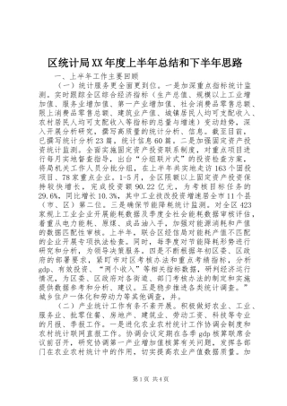 区统计局年度上半年总结和下半年思路