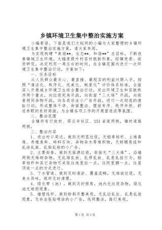 乡镇环境卫生集中整治实施方案