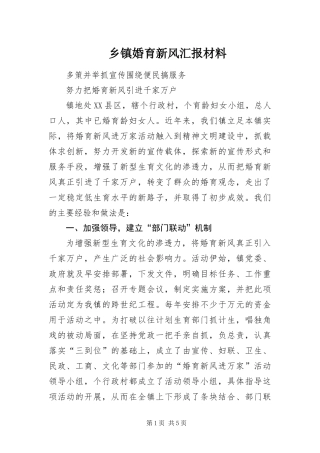乡镇婚育新风汇报材料