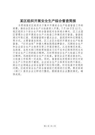 区组织开展安全生产综合督查简报