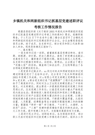 乡镇机关和两新组织书记抓基层党建述职评议考核工作情况报告