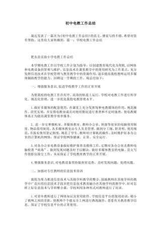 初中电教工作总结