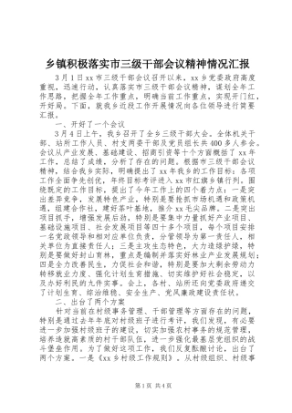 乡镇积极落实市三级干部会议精神情况汇报