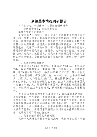 乡镇基本情况调研报告