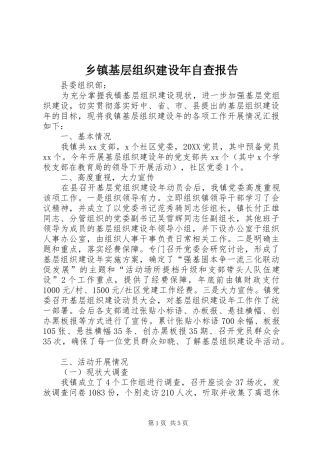 乡镇基层组织建设年自查报告