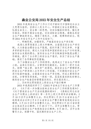 森业公安局安全生产总结