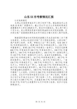 山东市考察情况汇报