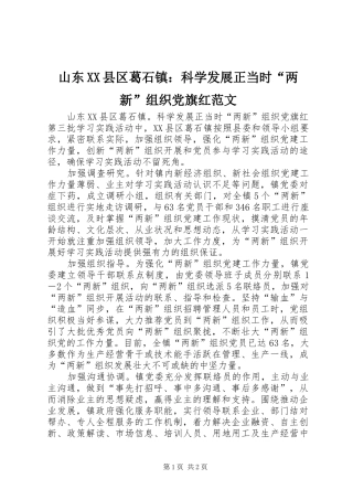 山东县区葛石镇科学发展正当时两新组织党旗红范文