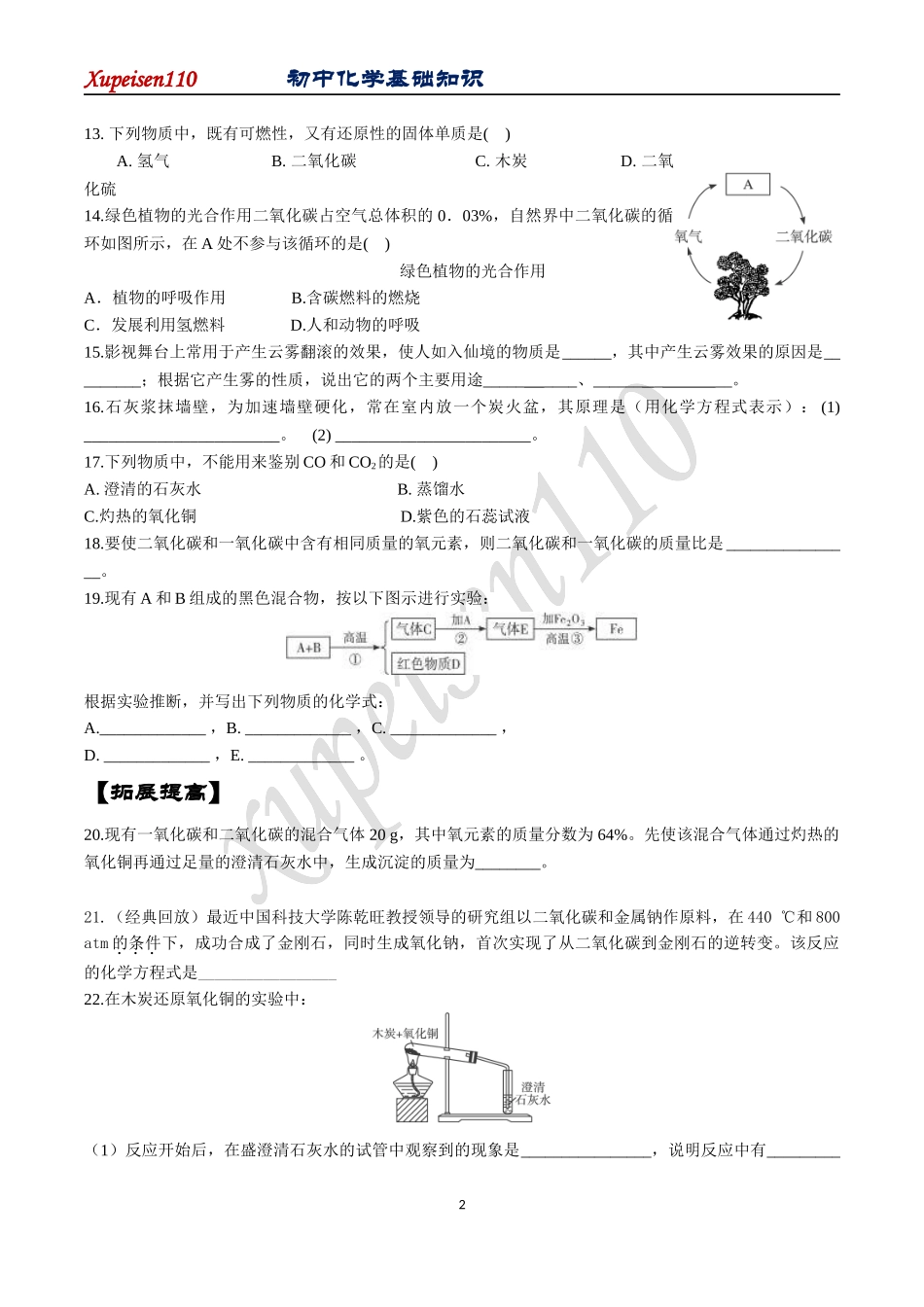 初中化学19--碳和碳的氧化物_第2页