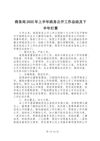 商务局上半年政务公开工作总结及下半年打算