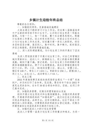 乡镇计生迎检年终总结