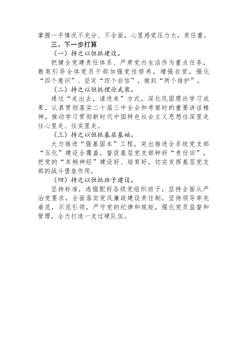 2024年党组织书记履行全面从严治党第一责任人责任述职报告_第3页