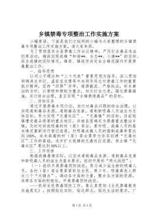 乡镇禁毒专项整治工作实施方案