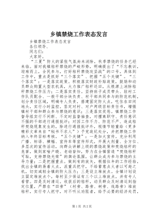 乡镇禁烧工作表态讲话