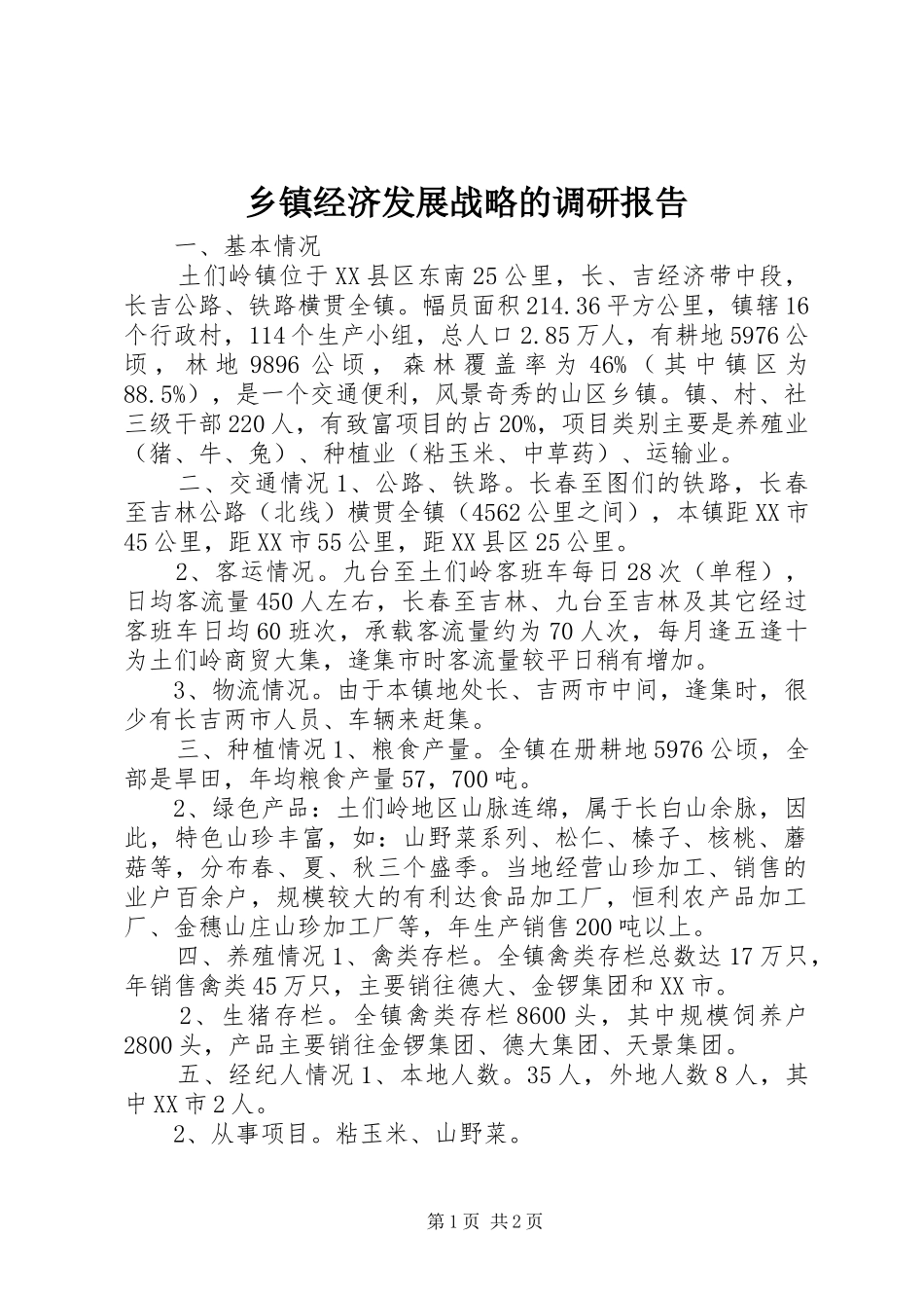乡镇经济发展战略的调研报告_第1页