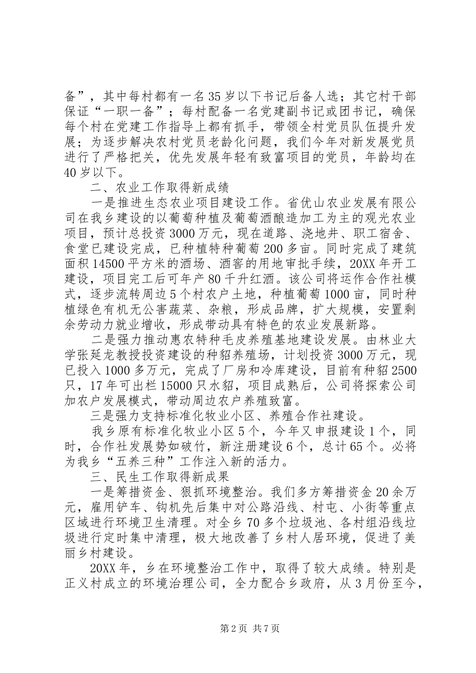 乡镇经济民生工作总结_第2页