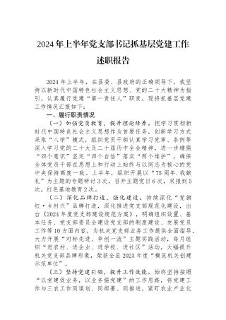 2024年上半年党支部书记抓基层党建工作述职报告
