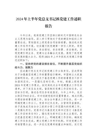 2024年上半年党总支书记抓党建工作述职报告