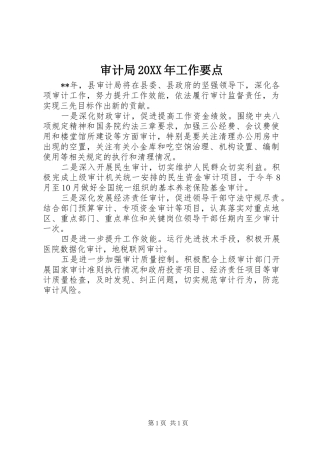 审计局工作要点