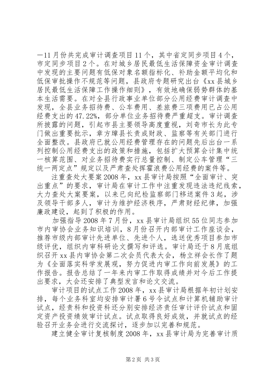 审计局工作总结_第2页