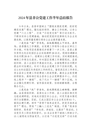 2024年县非公党建工作半年总结报告