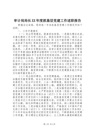 审计局局长年度抓基层党建工作述职报告