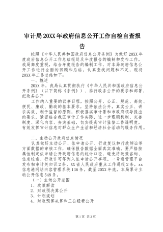审计局政府信息公开工作自检自查报告